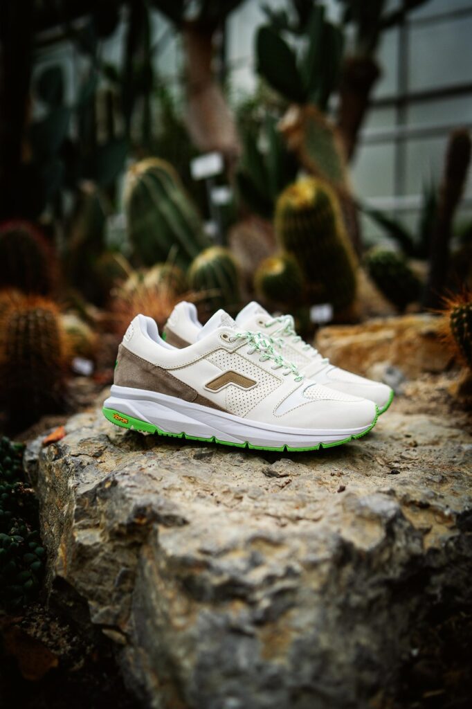 sneep crew, shoes, sneakers, fashion, running shoes, sports shoes, footwear, style